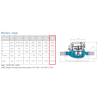 BMETERS Wodomierz wielostrumieniowy suchobieżny,  typu GMDM-I DN50 Q3=25 m3/h R100/50,Tmax:50°C,L=300mm GWINT